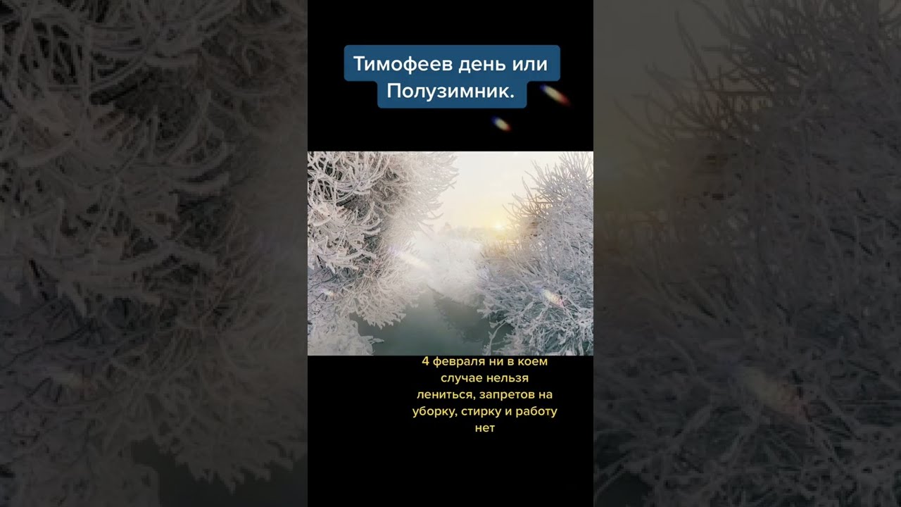 Тимофеев день Тимофеев день